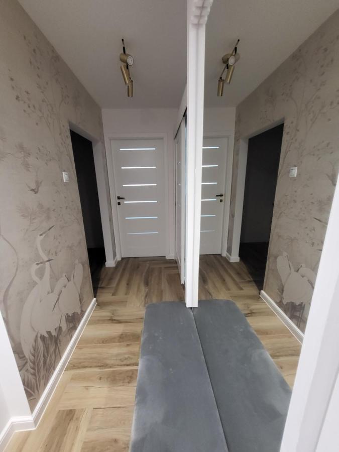 Apartament Gold Centrum 자브제 외부 사진